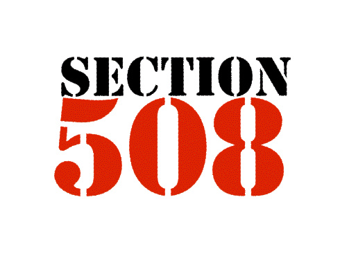 Image showing the words "Section 508" in a graphical font