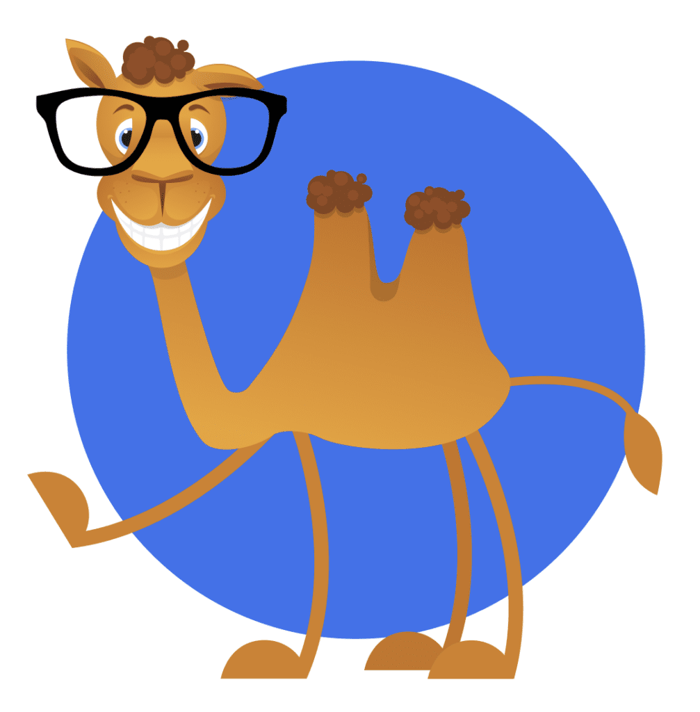 A camel with black glasses